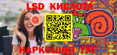 гидра Камышлов