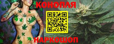 гидропоника Ипатово