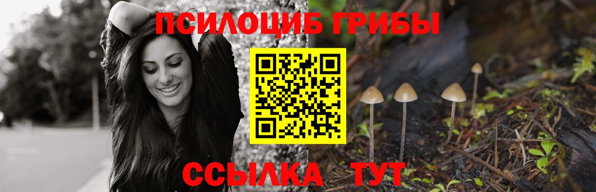 Псилоцибиновые грибы мицелий  Вход с VPN  Кузнецк 